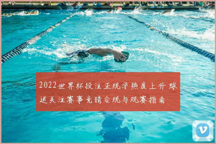 2022世界杯投注正规学热度上升 球迷关注赛事竞猜合规与观赛指南